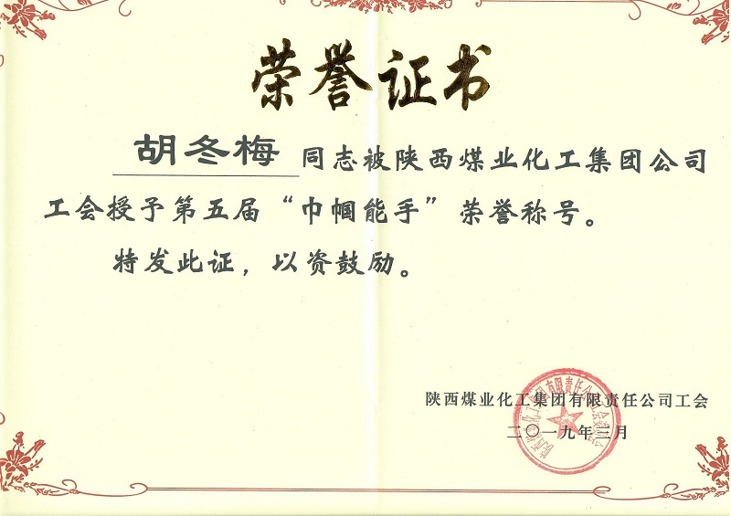 陜煤集團(tuán)授予胡冬梅“巾幗能手”稱號(hào)