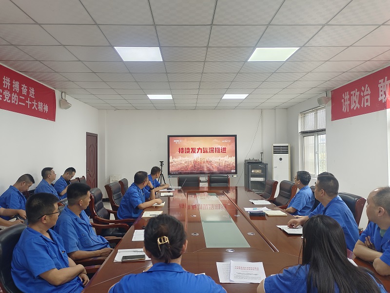 賽柯瑞思公司:以紀檢監察工作高質量護航企業高質量發展